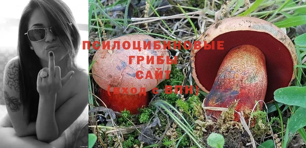 а пвп мука Костерёво